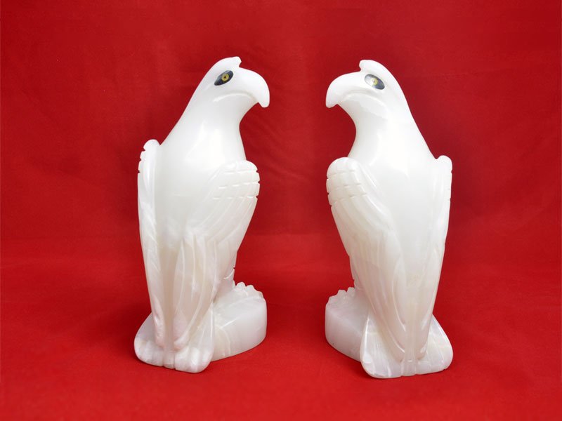 طوطی های سنگی